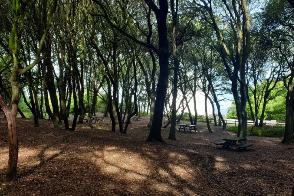 Le parc du Bois-Roy
