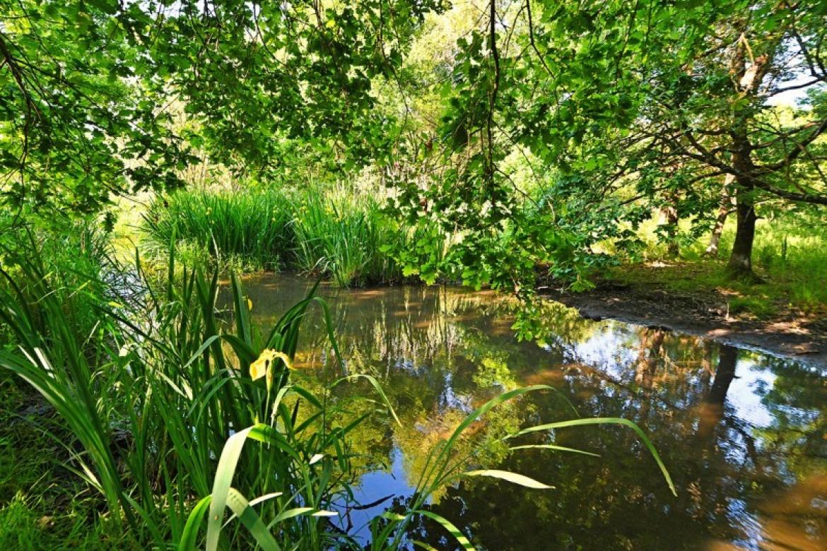 Concours photo "La Coulée verte au printemps"