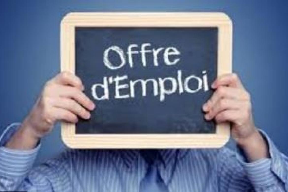 Offres d'emploi