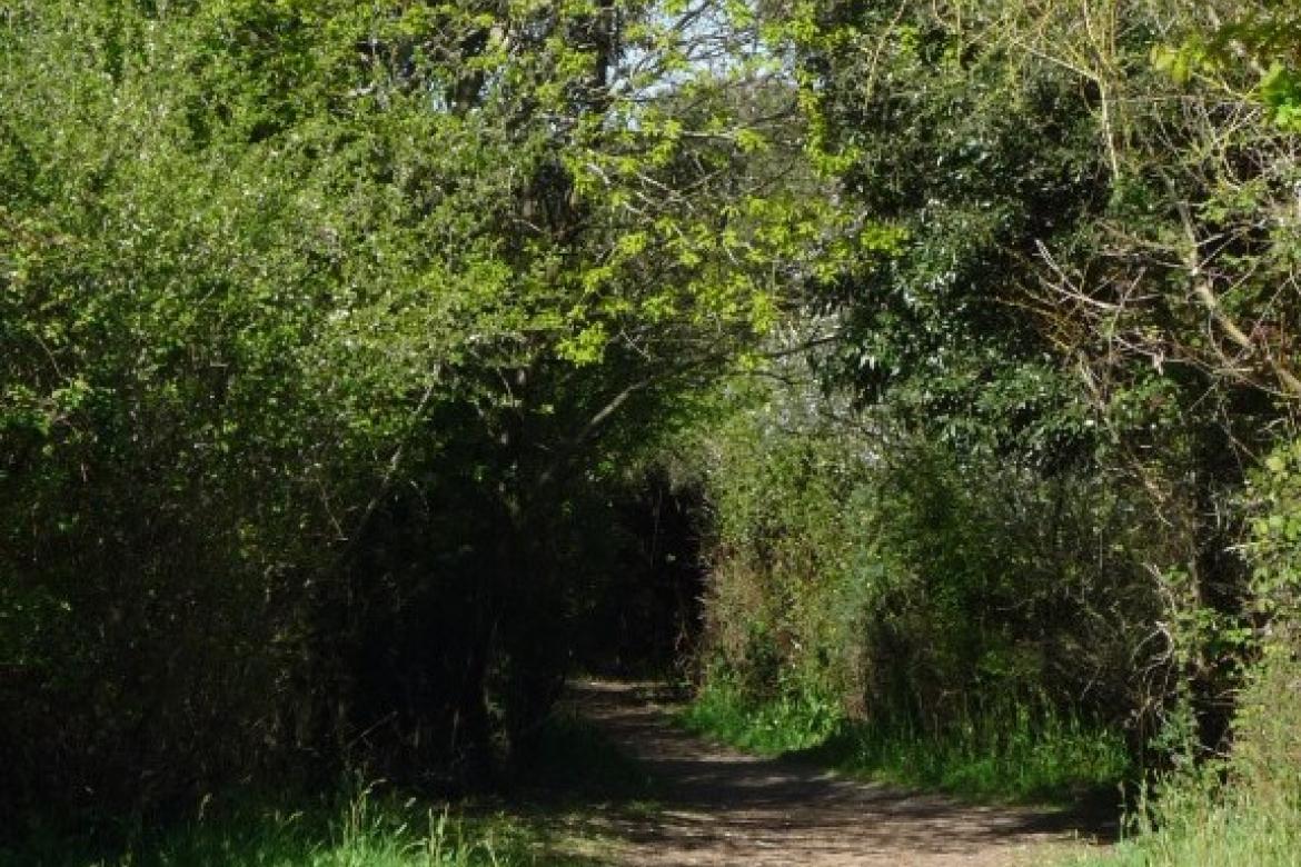 Le site naturel protégé des Terres rouges