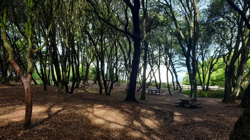 Le parc du Bois-Roy
