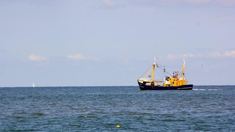 Pêche en mer