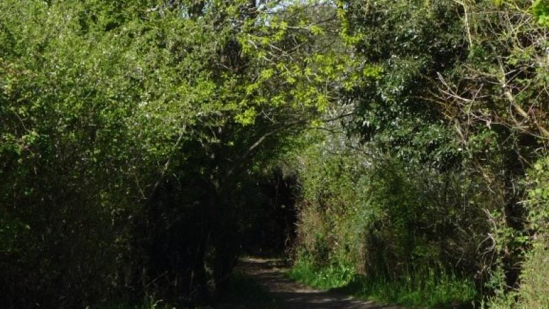 Le site naturel protégé des Terres rouges