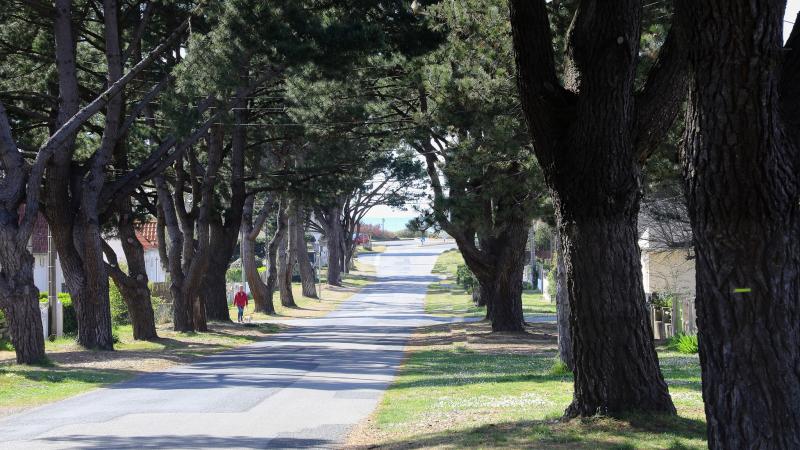 Travaux avenue d'Anjou