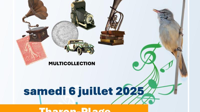 Brocante des collectionneurs