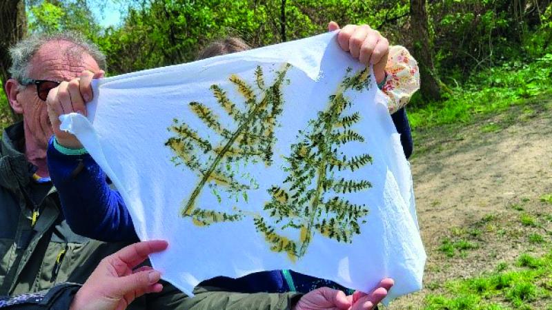 Empreintes végétales, avec Échos Nature