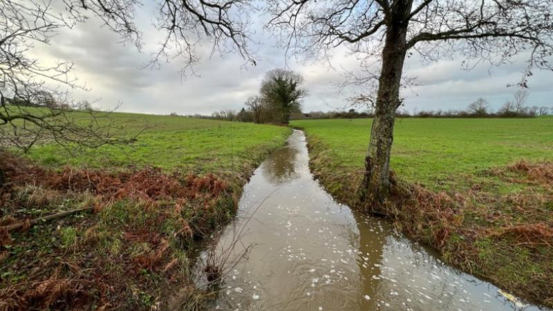 Atelier Fresque de l'eau