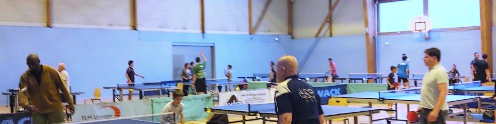 Tournoi d’été  de tennis de table