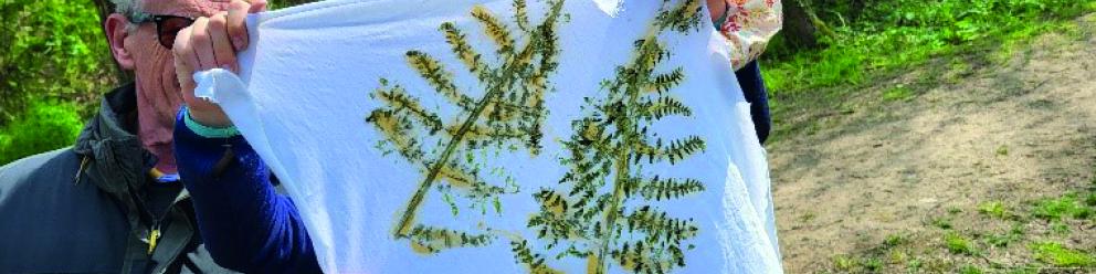 Empreintes végétales, avec Échos Nature