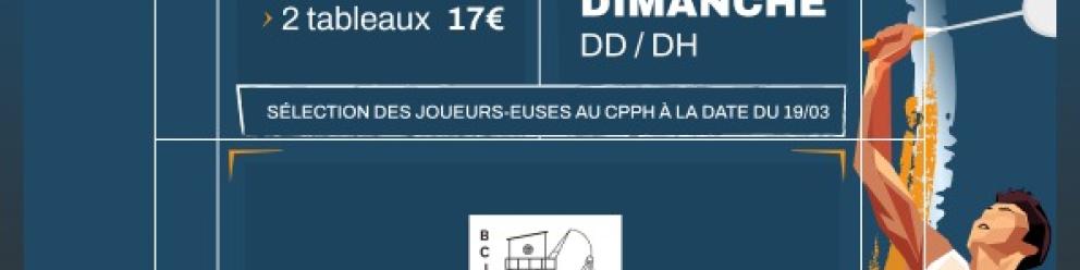 Championnat Senior Badminton