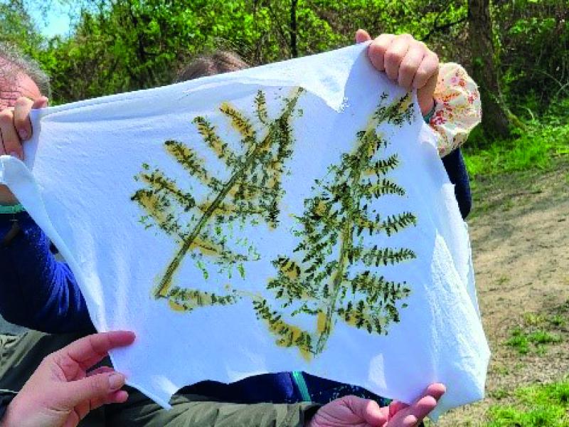 Empreintes végétales, avec Échos Nature