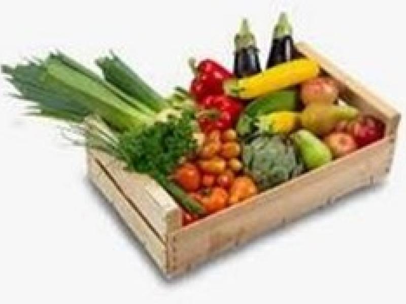 Réinscriptions à l'AMAP