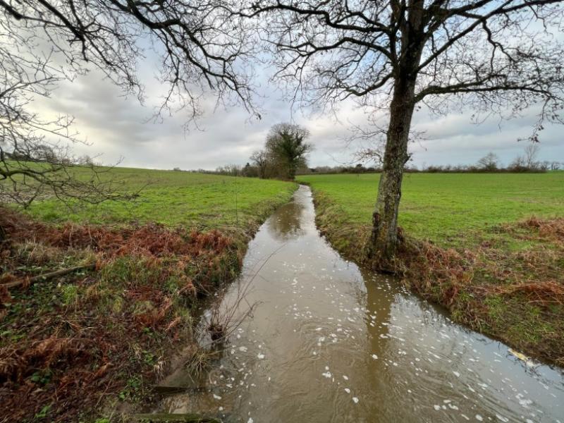 Atelier Fresque de l'eau