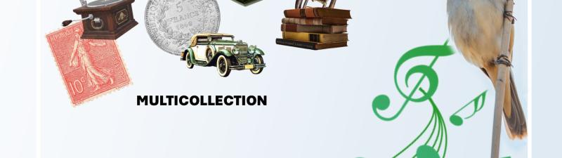 Brocante des collectionneurs