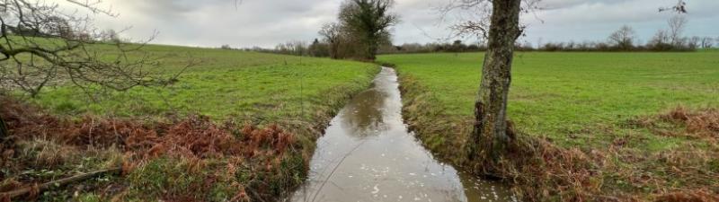 Atelier Fresque de l'eau